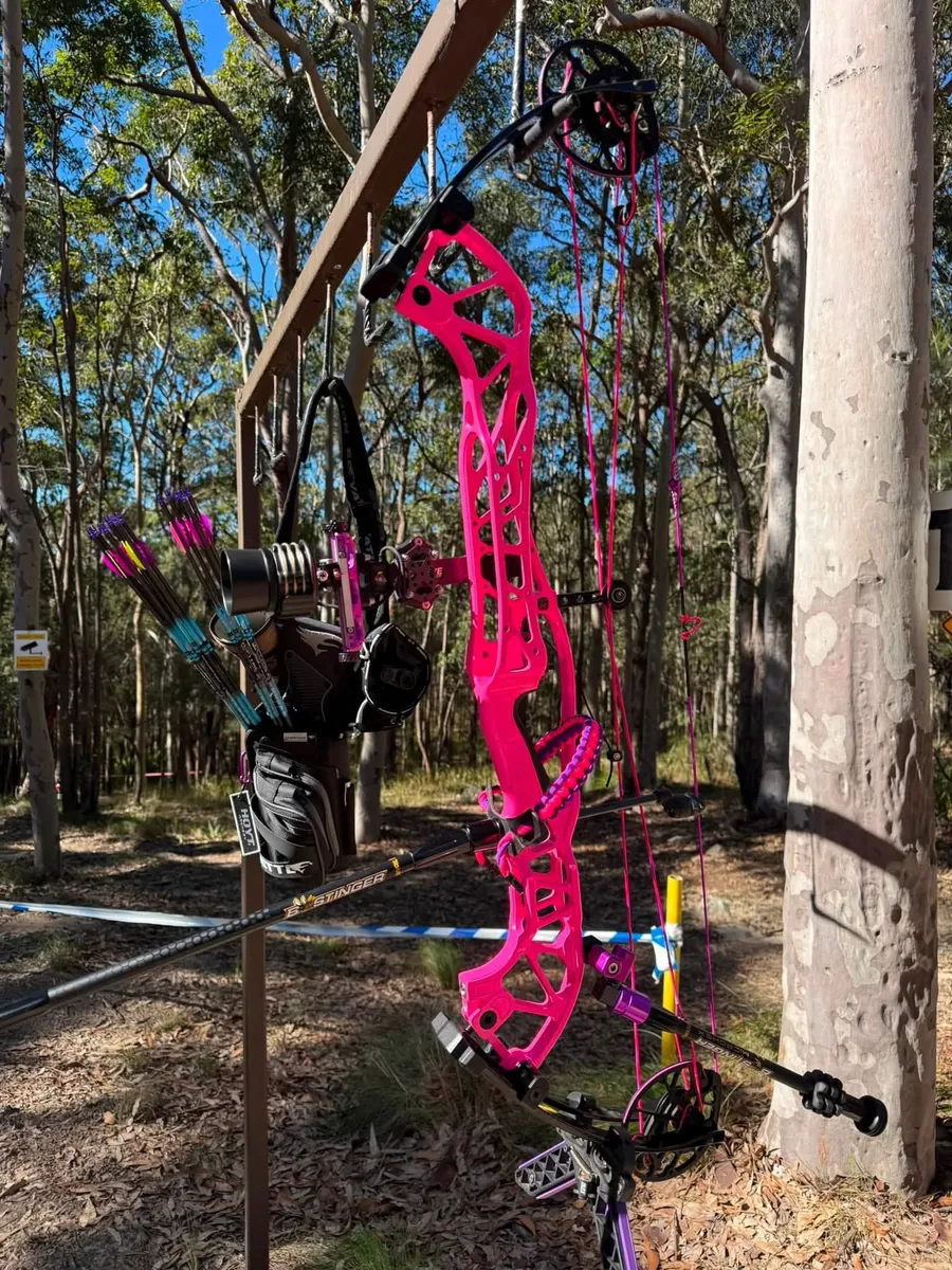 A compound bow with bright pink strings and cables, hanging in the bush.