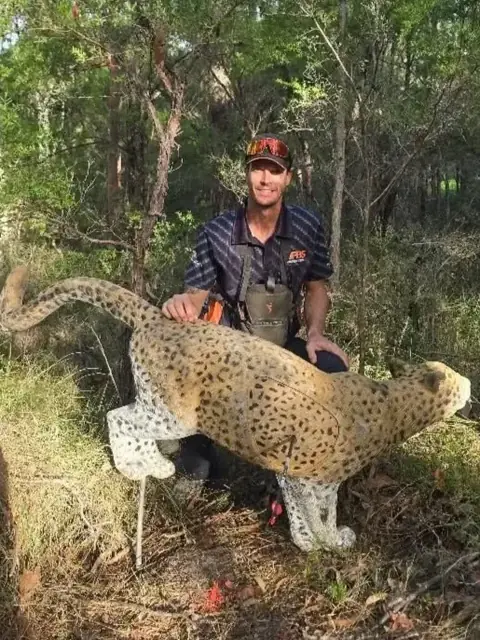 An archer with a life-size 3D big-cat target in the trees.