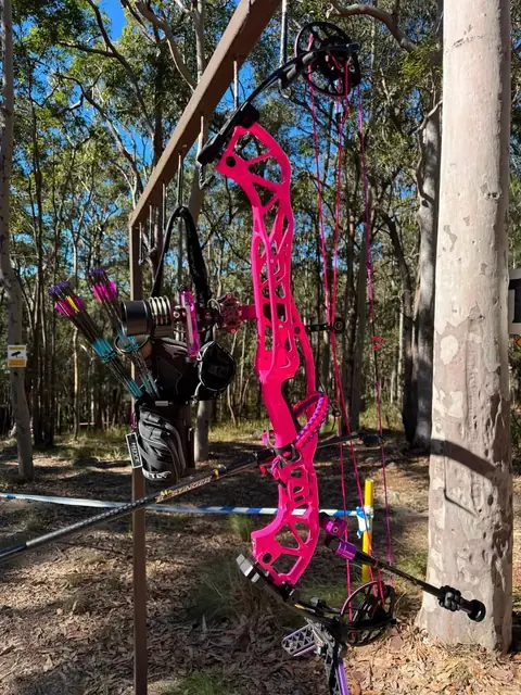A compound bow hanging in the bush with a full set of bright pink strings and cables.
