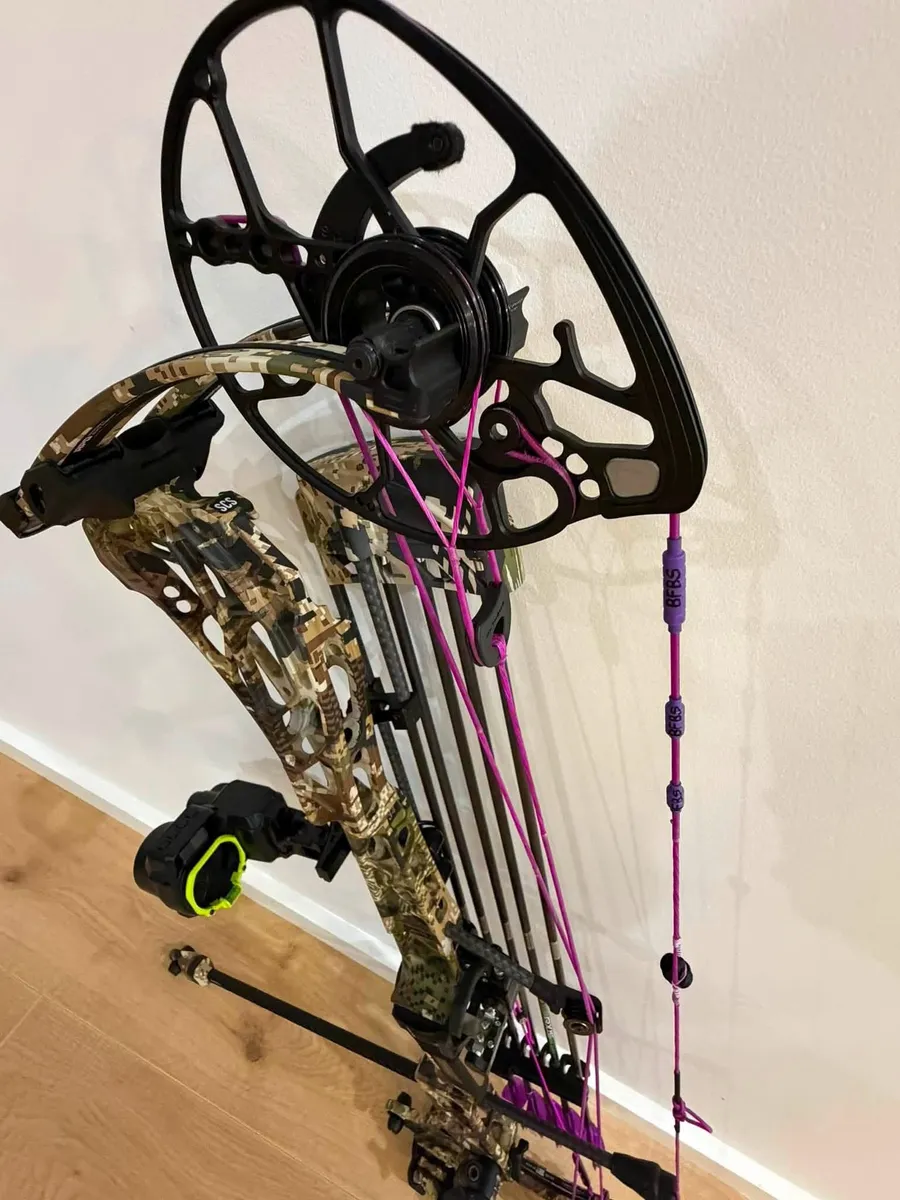 A purple and pink bowstring fitted to a compound bow, photographed close.